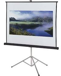 Apollo 70×70 Projection Screen